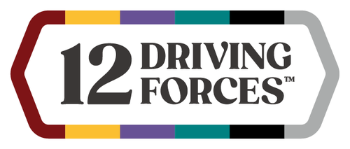 12 Driving Forces motivators assessment